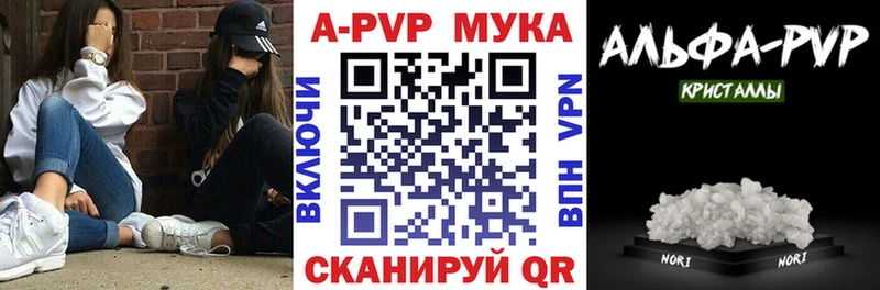 где можно купить наркотик  Светлый  Alfa_PVP СК 