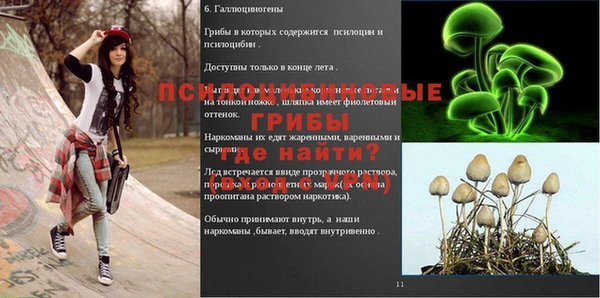 альфа пвп Остров