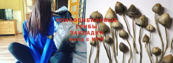 гашиш Пересвет