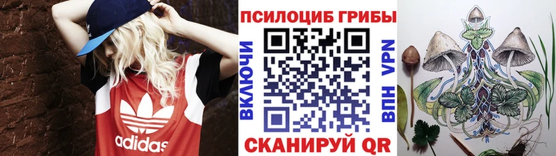ссылка на мегу рабочий сайт  Светлый  Галлюциногенные грибы прущие грибы 